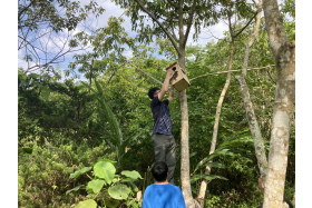 完成的巢箱安置於校園綠地，作為野生動物的新家園。