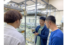 植物組織培養解說